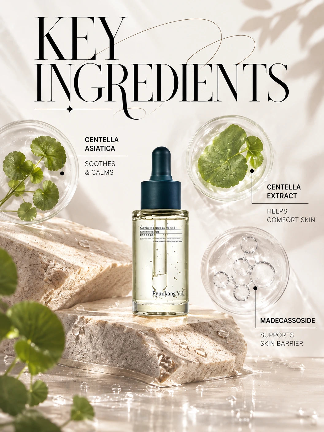Calming Moisture Serum 30ml | Pyunkang Yul | Pyunkang Yul Calming Moisture Serum - Artisanal Luxury Hydration
