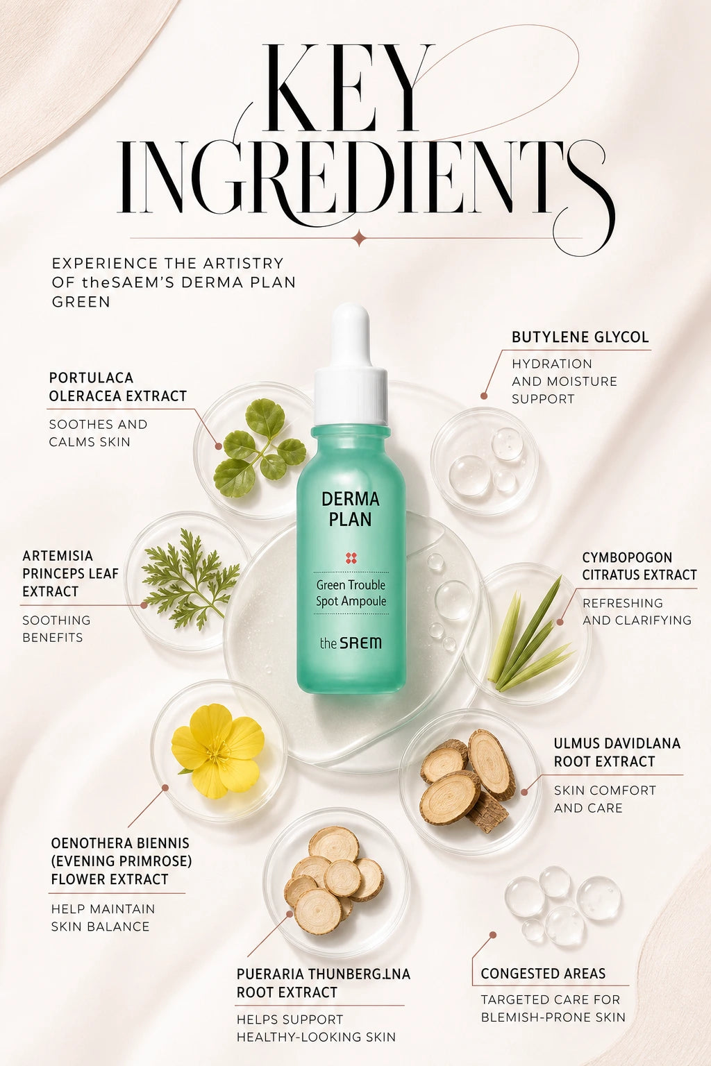 Derma Plan Green Trouble Spot Ampoule 20ml | theSAEM | theSAEM Derma Plan Green Ampoule – Artisanal Blemish Care