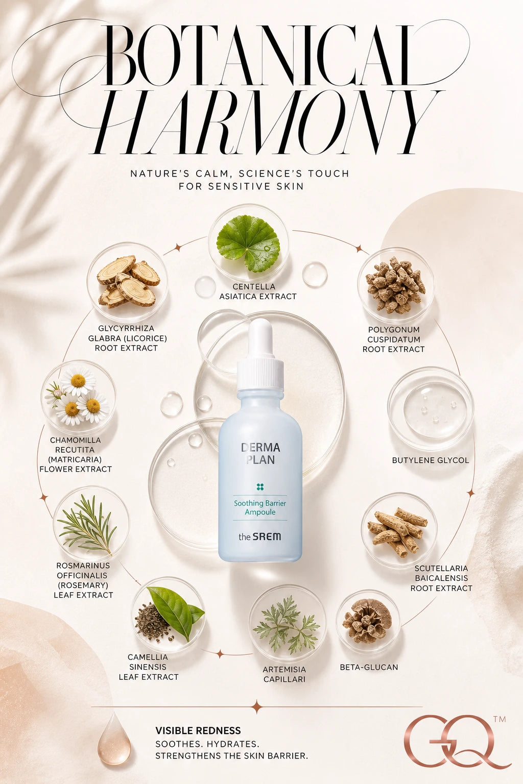 Derma Plan Soothing Barrier Ampoule 50ml | theSAEM | theSAEM Derma Plan Soothing Barrier Serum – Artisanal Hydration