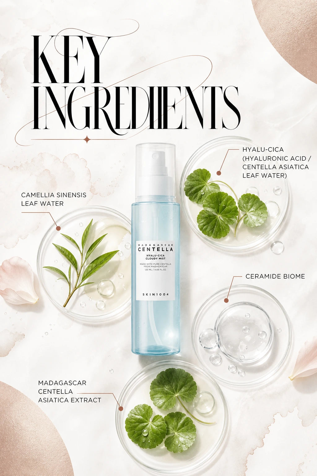 Madagascar Centella Hyalu-Cica Cloudy Mist 120ml | SKIN1004 | SKIN1004 Hydrating Mist - Artisanal Luxe for Radiant Skin