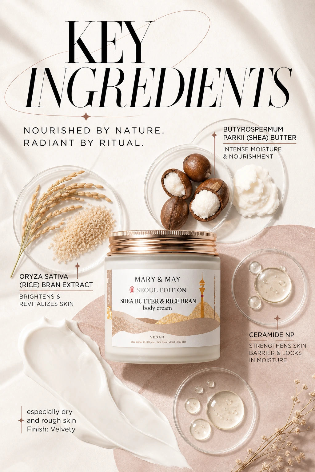 Shea Butter & Rice Bran Body Cream 250ml | Mary&May | Mary&May Shea Butter Body Cream – Artisan Luxury Hydration